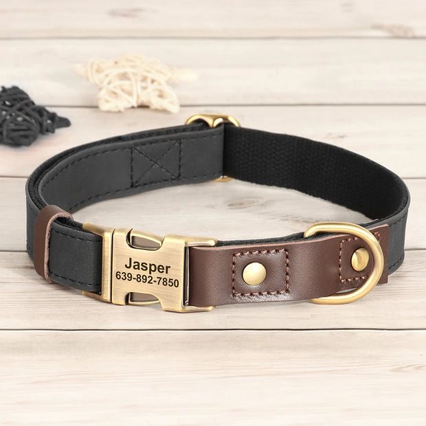 Free Custom PU Leather Dog Collar with Nameplate