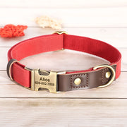 Free Custom PU Leather Dog Collar with Nameplate