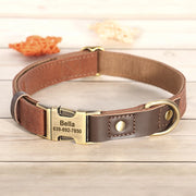 Free Custom PU Leather Dog Collar with Nameplate