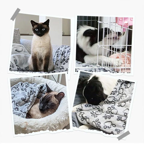 Flannel Dog Blanket Paw Print for Dog Cat Pet Sleep Mat Washable Soft Warm & Comfortable Pet Bed Sheet Mat Dog Sleeping Blankets